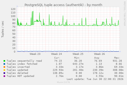 PostgreSQL tuple access (authentik)