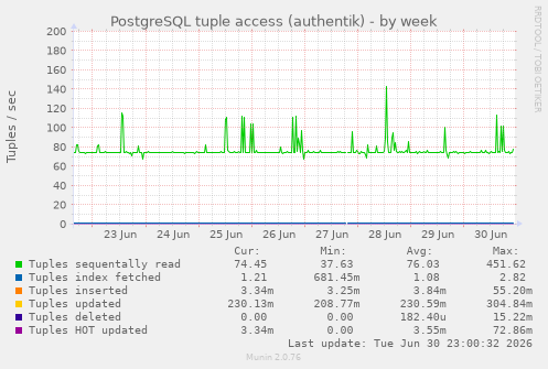 PostgreSQL tuple access (authentik)